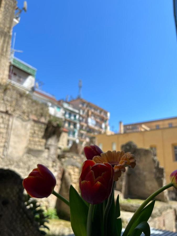 Centro, A Windows On The Monuments * Napels